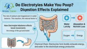Do Electrolytes Make You Poop? Digestion Effects Explained